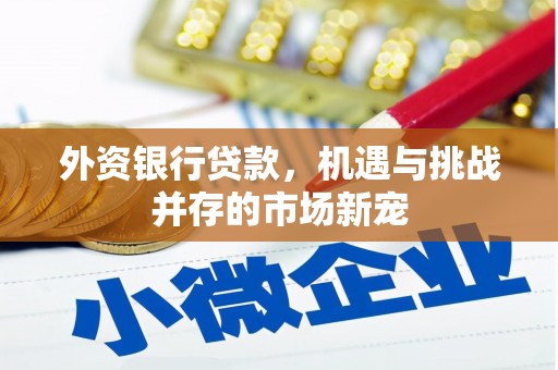 川汇外资银行贷款，机遇与挑战并存的市场新宠