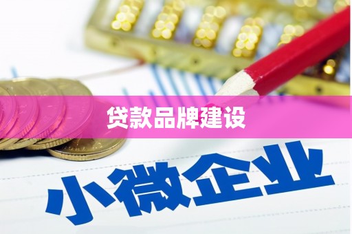 川汇贷款品牌建设