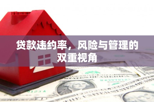 川汇贷款违约率，风险与管理的双重视角