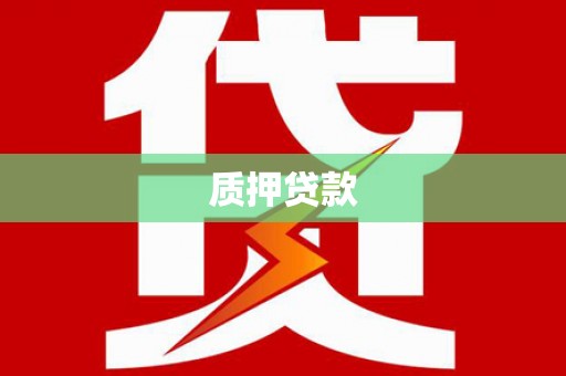 川汇质押贷款