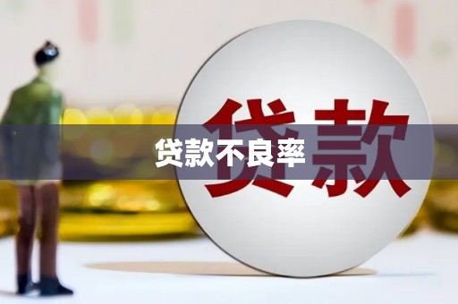 川汇贷款不良率