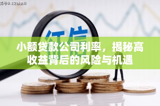 川汇小额贷款公司利率，揭秘高收益背后的风险与机遇