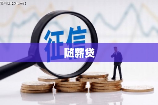 川汇随薪贷