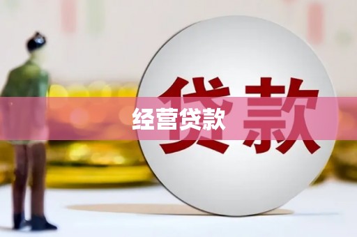 川汇经营贷款