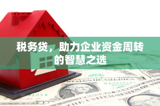 川汇税务贷，助力企业资金周转的智慧之选
