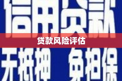 川汇贷款风险评估