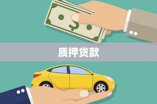 川汇质押贷款