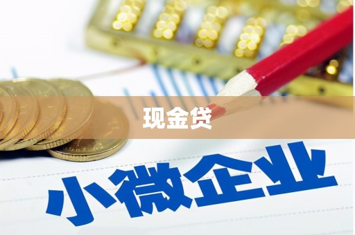 川汇现金贷