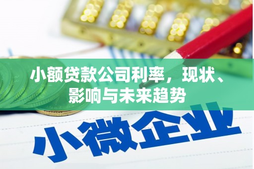 川汇小额贷款公司利率，现状、影响与未来趋势