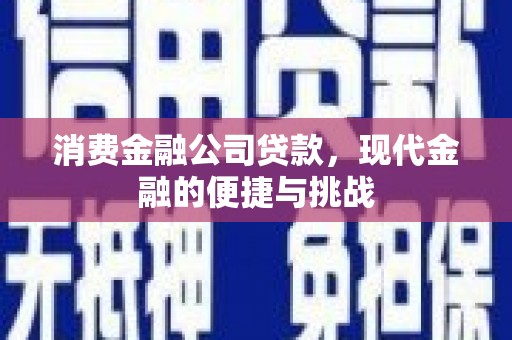 川汇消费金融公司贷款，现代金融的便捷与挑战
