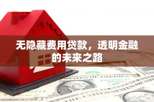 川汇无隐藏费用贷款，透明金融的未来之路