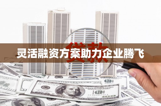 川汇灵活融资方案助力企业腾飞