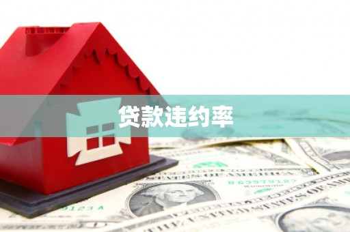 川汇贷款违约率