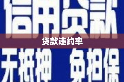 川汇贷款违约率