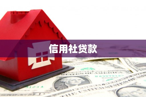 川汇信用社贷款