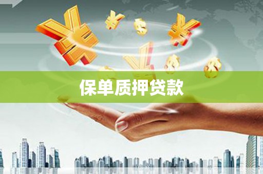 川汇保单质押贷款