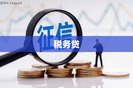 川汇税务贷