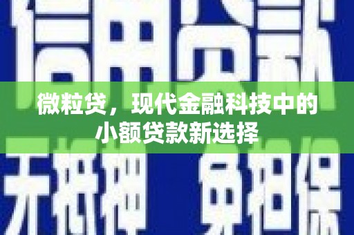 川汇微粒贷，现代金融科技中的小额贷款新选择