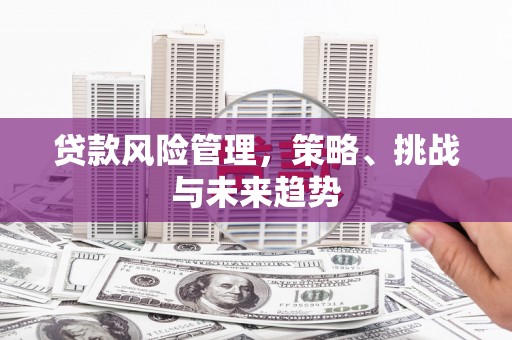 川汇贷款风险管理，策略、挑战与未来趋势