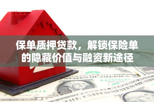 川汇保单质押贷款，解锁保险单的隐藏价值与融资新途径