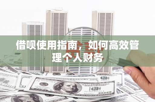 川汇借呗使用指南，如何高效管理个人财务
