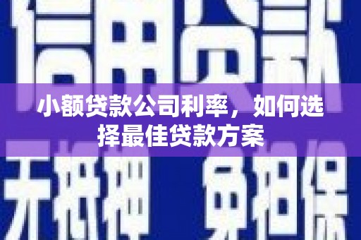 川汇小额贷款公司利率，如何选择最佳贷款方案