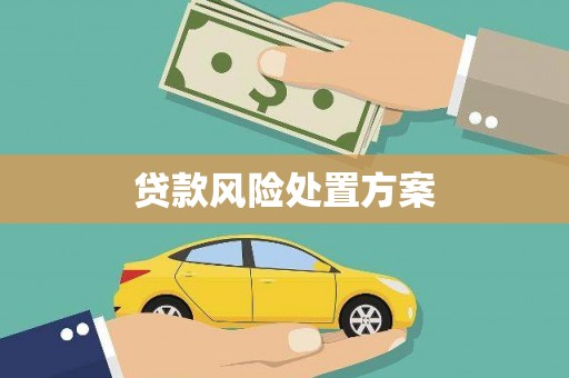 川汇贷款风险处置方案