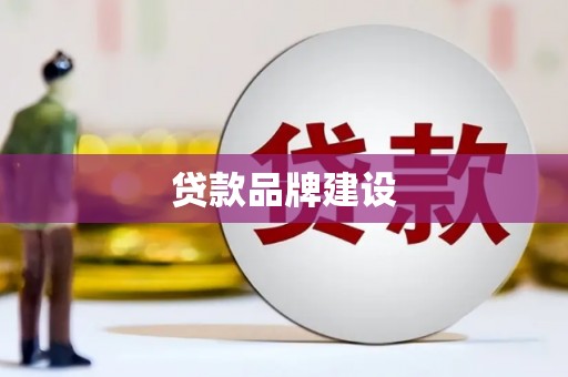 川汇贷款品牌建设