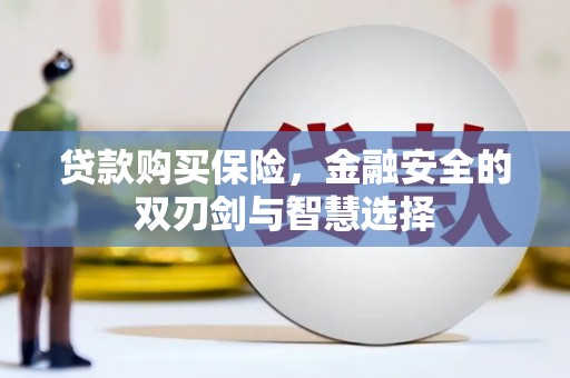 川汇贷款购买保险，金融安全的双刃剑与智慧选择