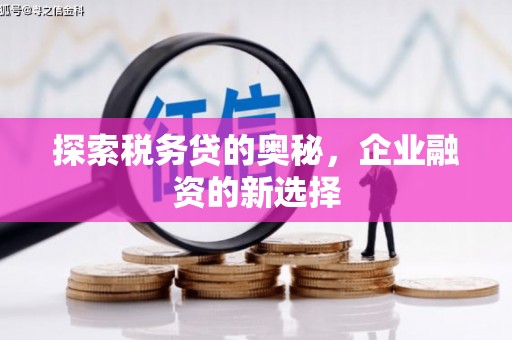 川汇探索税务贷的奥秘，企业融资的新选择