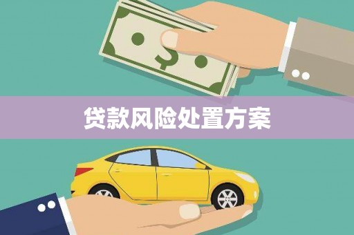 川汇贷款风险处置方案