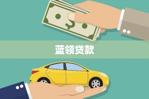 川汇蓝领贷款