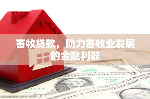 川汇畜牧贷款，助力畜牧业发展的金融利器