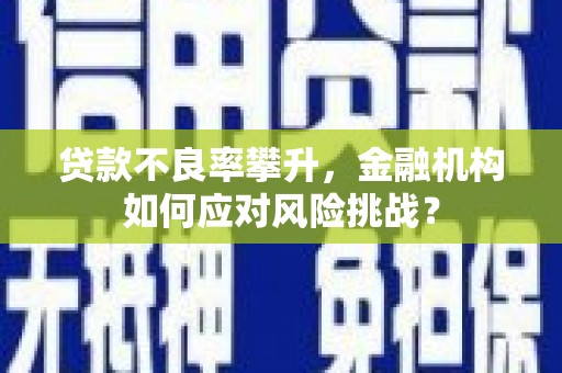 川汇贷款不良率攀升，金融机构如何应对风险挑战？