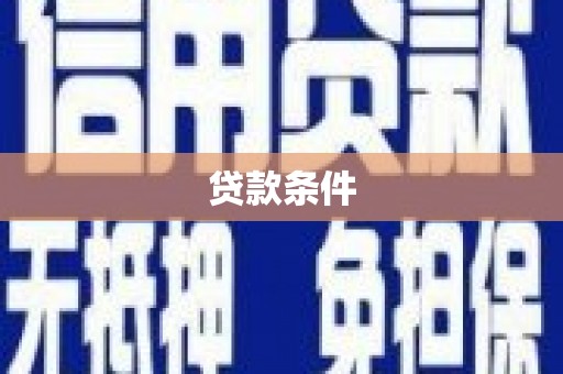 川汇贷款条件