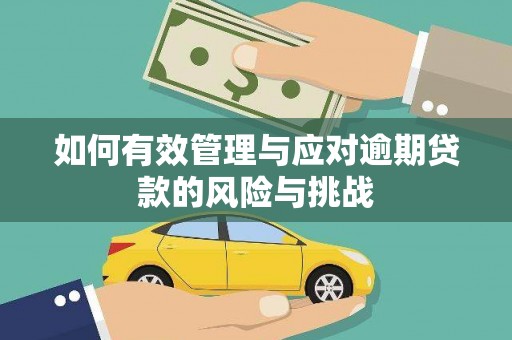 川汇如何有效管理与应对逾期贷款的风险与挑战