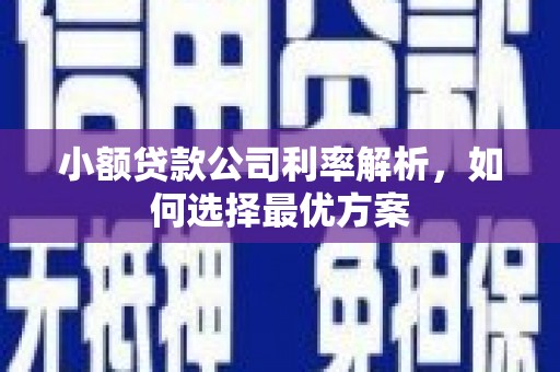 川汇小额贷款公司利率解析，如何选择最优方案