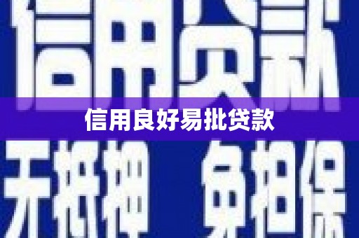 川汇信用良好易批贷款