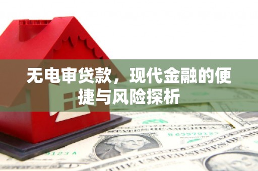 川汇无电审贷款，现代金融的便捷与风险探析