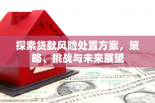 川汇探索贷款风险处置方案，策略、挑战与未来展望