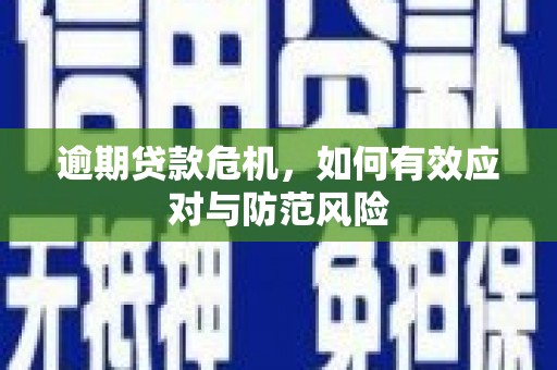 川汇逾期贷款危机，如何有效应对与防范风险
