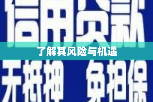 川汇了解其风险与机遇