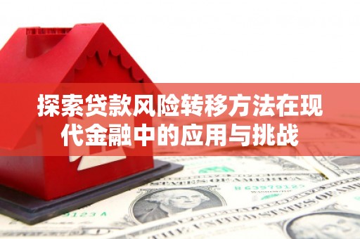 川汇探索贷款风险转移方法在现代金融中的应用与挑战
