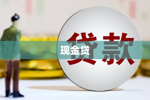 川汇现金贷