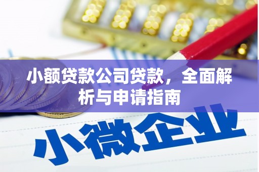 川汇小额贷款公司贷款，全面解析与申请指南