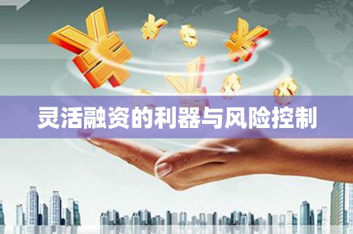 川汇灵活融资的利器与风险控制
