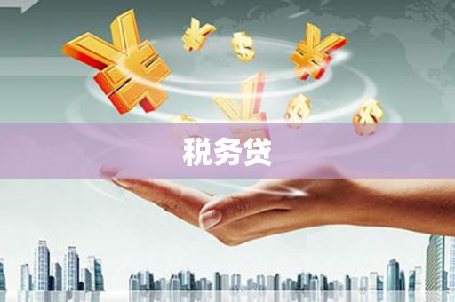 川汇税务贷