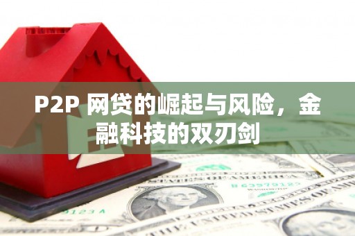 川汇P2P 网贷的崛起与风险，金融科技的双刃剑