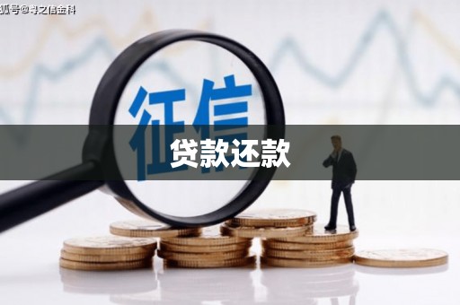 川汇贷款还款