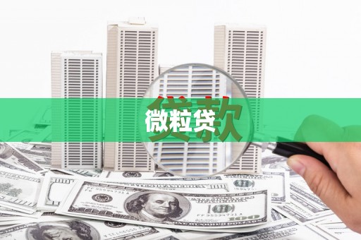 川汇微粒贷